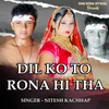 About Dil Ko To Rona Hi Tha Song